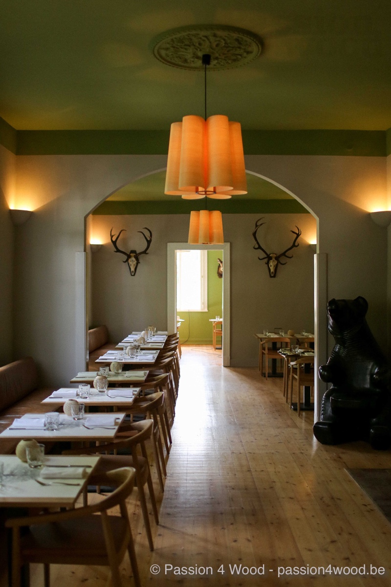 Forsthaus Friedrichsruh - Starfruit lampe en bois toulip